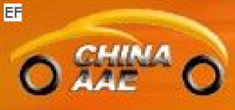 2008第六屆中國(廣州)國際汽車用品及汽車改裝展<BR>汽車零部件展<br>汽車保修檢測診斷設(shè)備展