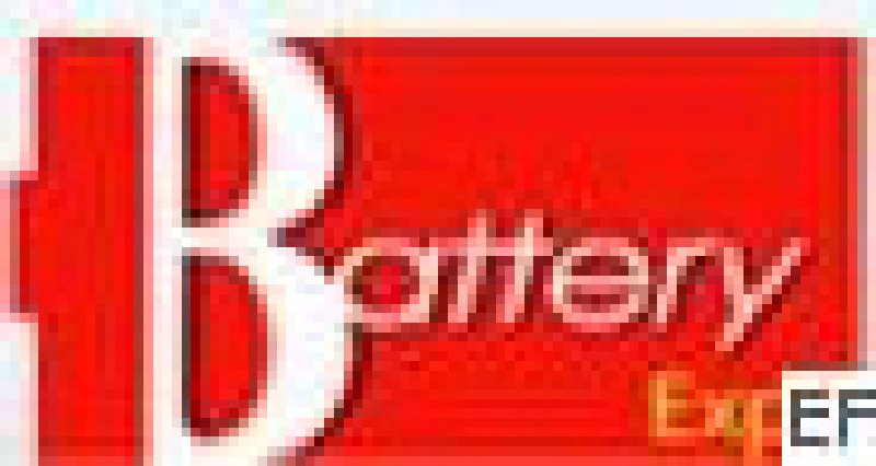 2010第十屆中國(上海)國際電池產(chǎn)業(yè)展覽會暨技術(shù)交流會