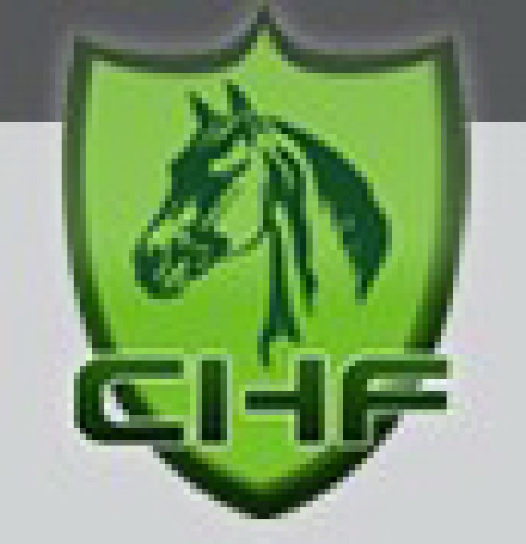 2011第五屆中國國際馬業馬術展覽會