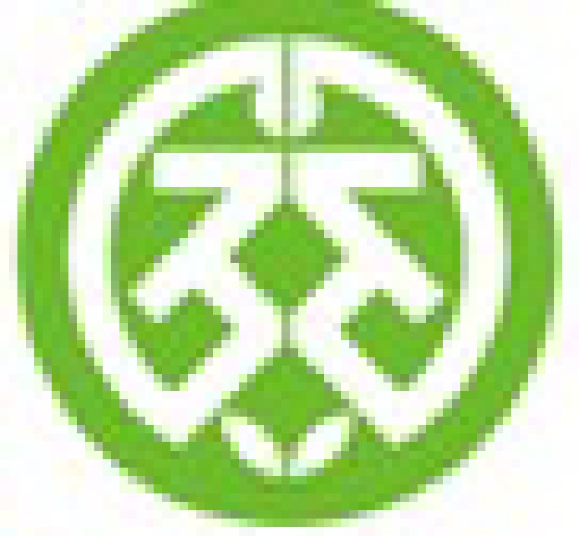 2011第11屆遼寧沈陽種子交易會