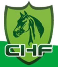 (延期)2022第十四屆中國國際馬業馬術展覽會